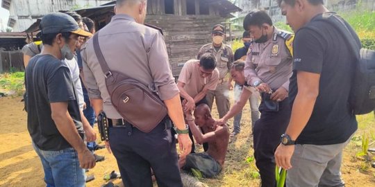 Pura-Pura Gila, Ayah yang Mutilasi Anak di Inhil Dinyatakan Sehat oleh RSJ