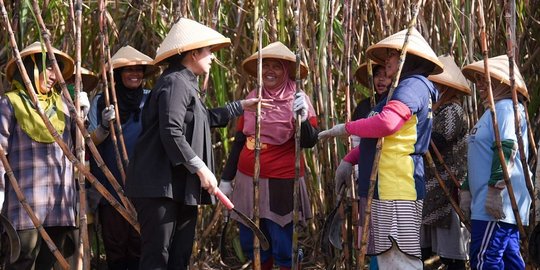 Potret Puan Maharani Pakai Caping & Pegang Celurit, Akrab Sama Petani saat Panen Tebu