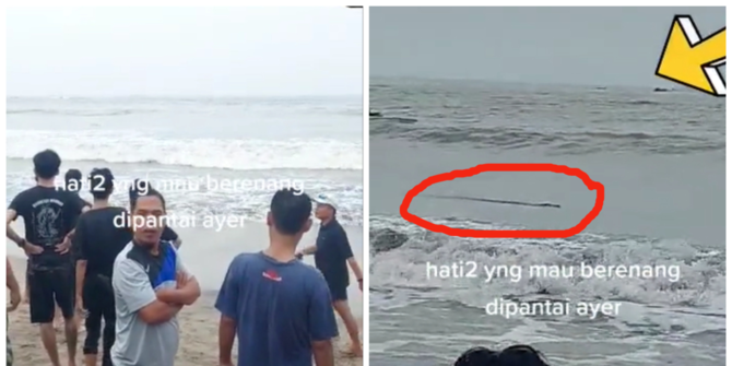 Viral Diduga Buaya Muncul Pantai Anyer, Komentar Warganet Justru Bikin Salah Fokus