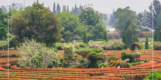 Tempat Wisata di Cianjur Populer, Destinasi Alam Hilangkan Penat