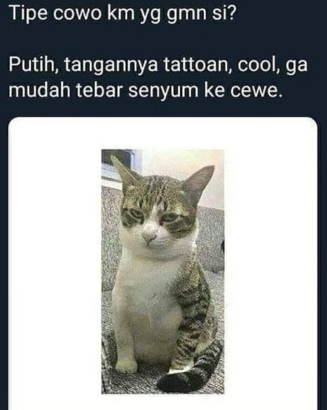 meme lucu terbaru bikin ngakak