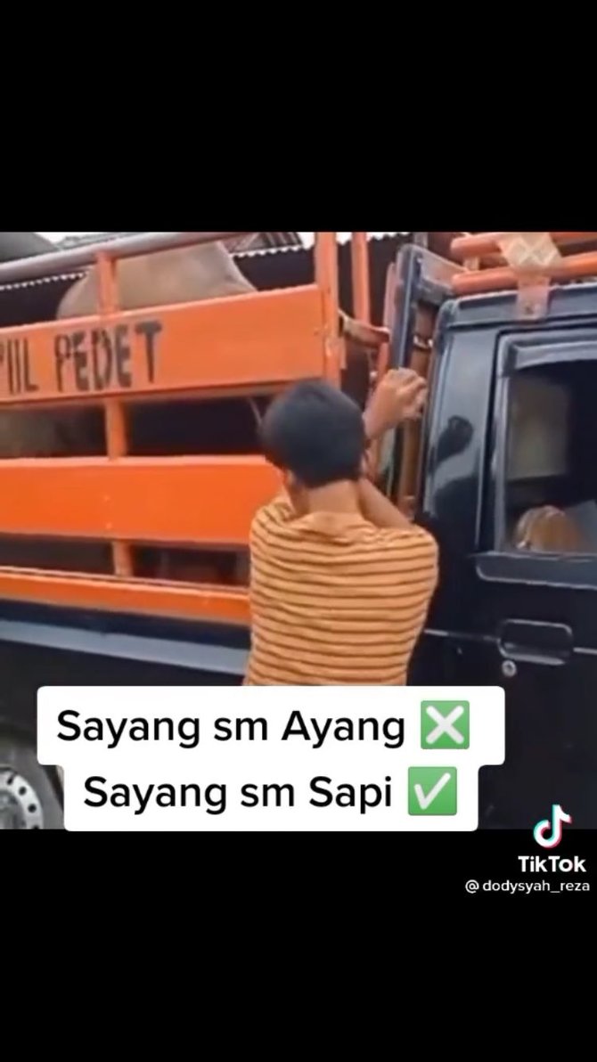 pria tangisi sapinya yang laku terjual
