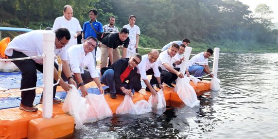 Pamit ke Megawati, Sekjen PDIP Jalankan Program Merawat Pertiwi di Waduk Jatiluhur