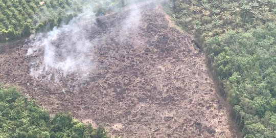 Karhutla Kembali Mengancam, 10 Hektare Lahan Gambut di OKI Terbakar