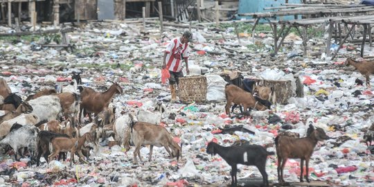 Jadi Penghasil Sampah Makanan Terbesar Dunia, Indonesia Rugi Rp551 T ...