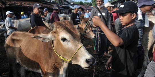 Pemprov DKI Imbau Panitia Kurban Tak Gunakan Plastik