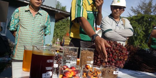 PTPN Group Kembangkan Bahan Bakar B50, Sukses Uji Cobab Medan - Jakarta