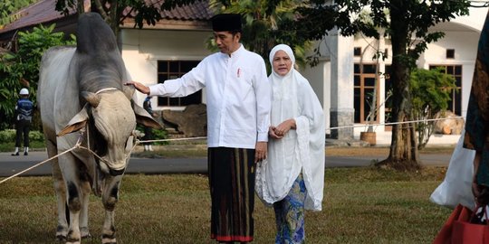 Istana Pastikan Hewan Kurban Jokowi Sehat dan Bebas PMK