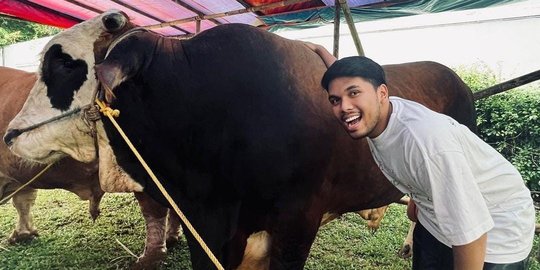 Jelang Idul Adha, Ini Momen Thariq Halilintar Bersama Sapi Kurbannya Bernama Panda