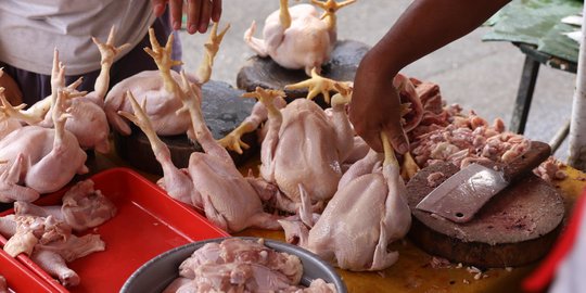 Harga Ayam DKI Naik Lagi di Iduladha, Tertinggi Rp 55.000/Ekor di Pasar Pondok Labu