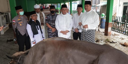 Gubernur Ansar Serahkan Sapi Kurban untuk Gerbang Utara Perbatasan NKRI