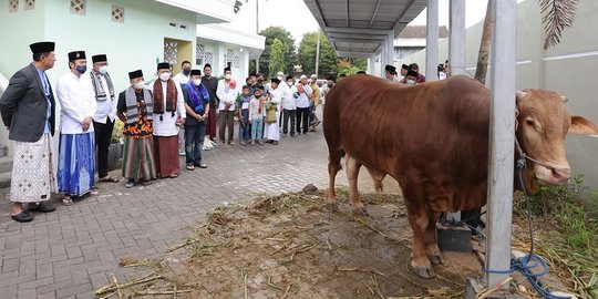 Ibas: Iduladha Momen Peduli dan Berbagi