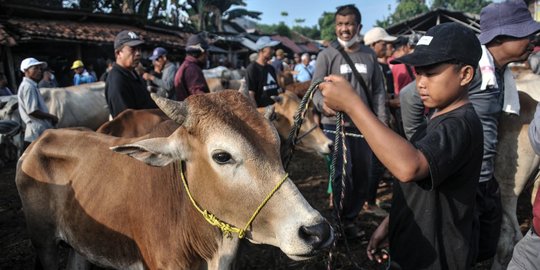 Ini Aturan Tambahan yang Dibuat Satgas Penanganan PMK