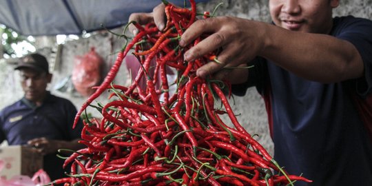 Harga Cabai Merah Keriting Tembus Rp140.000 per Kilogram