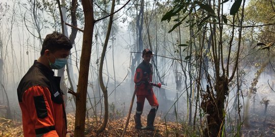 472 Hektare Lahan di Sumsel Terbakar Sepanjang Januari-Mei 2022