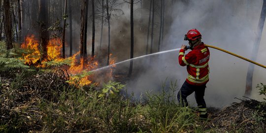 Kebakaran Hutan Dahsyat di Portugal Bikin Pesawat Jatuh dan Pilot Tewas