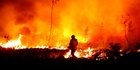 Aksi Damkar Berjibaku Melawan Kebakaran Hutan di Prancis
