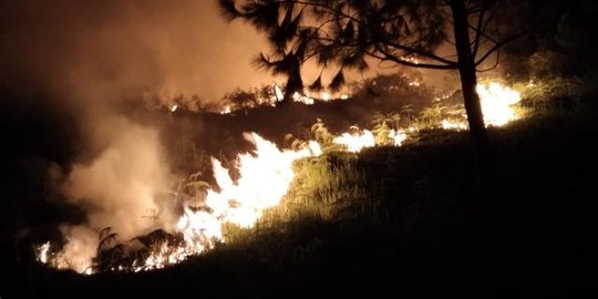 40 Hektare Lahan di Perbukitan Sekitar Danau Toba Terbakar, 1 Warga Tewas