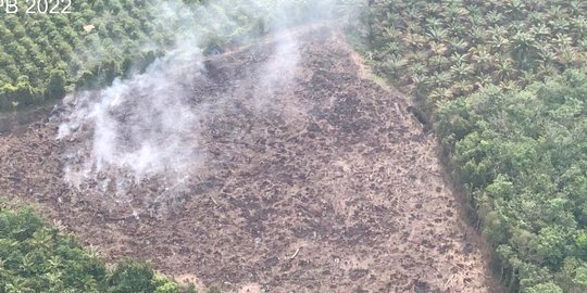 206.935 Hektare Lahan Gambut Berstatus Rusak Sangat Berat