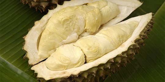 Thailand Perkenalkan Varietas Durian Tanpa Bau Menyengat