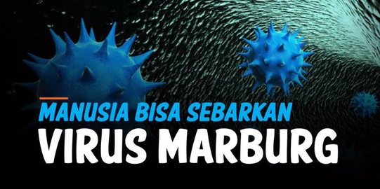 Waspada Bahaya Virus Marburg, Sudah Mewabah di Ghana