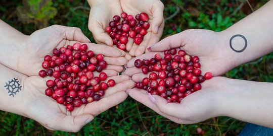 7 Manfaat Buah Cranberry Untuk Tubuh, Dukung Kesehatan Jantung Hingga ...