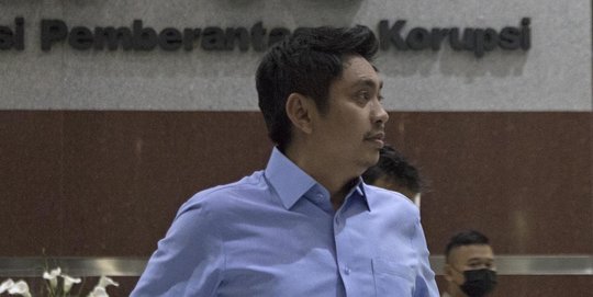 Mardani Maming Buron, PDIP Tegaskan Tak Ada Intervensi