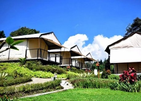 wisata glamping di bandung