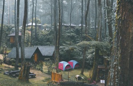 wisata glamping di bandung