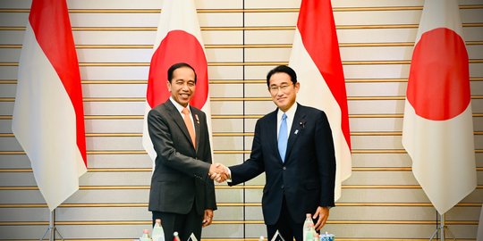Bertemu PM Kishida, Jokowi Ajak Jepang Hadiri KTT G20 di Bali