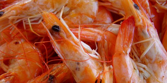 Manfaat Udang untuk Anak, Bantu Tumbuh Kembang Otak dan Tulang