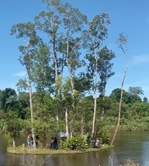 momen langka pulau kecil di kalbar bergerak ikuti arus air curi perhatian