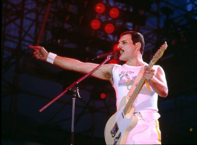 freddie mercury