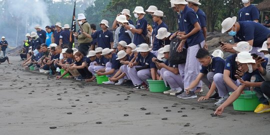 Ketika Penyu Tersenyum Lebar di Perancak, Bali