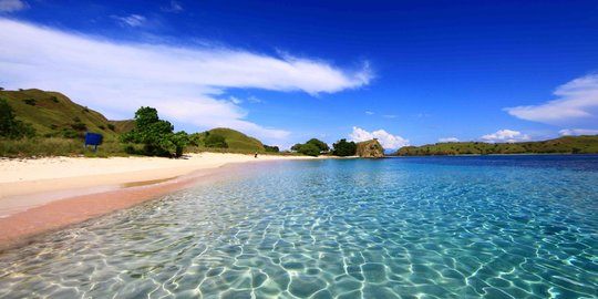 Harga Tiket Masuk Pulau Komodo Naik Rp3,75 Juta, 10.000 Wisatawan ...