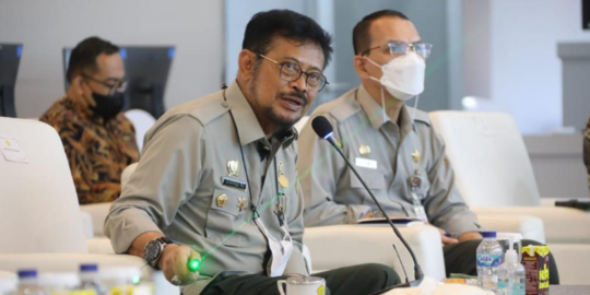 Mentan: Indonesia Sudah Tak Impor Jagung, Kecuali untuk Industri