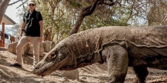 Seruan Menolak Kenaikan Tarif Masuk Pulau Komodo, dari Demo hingga Petisi Online