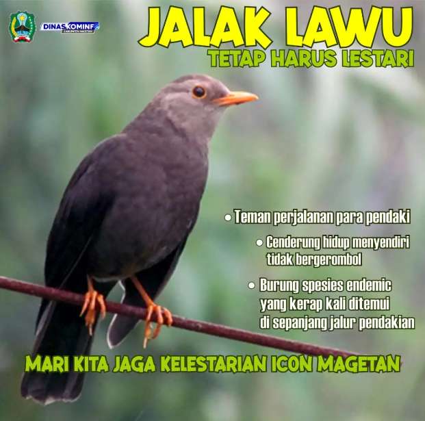 tari jalak lawu
