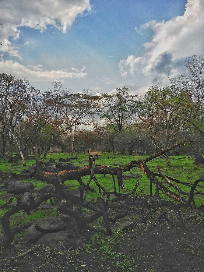 taman nasional baluran