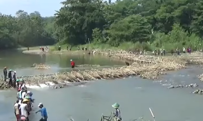 tradisi bendung sungai oleh warga desa benda kuningan