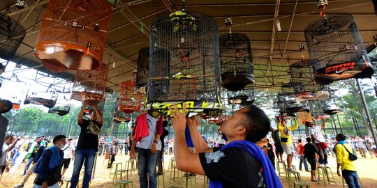 Lomba Kicau Burung Pra Piala Gubernur di Lapangan Banteng