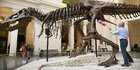 Ilmuwan: T-rex Satu-Satunya Raja Dinosaurus