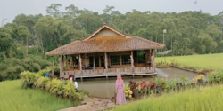 Potret 1 Rumah Terpencil di Tengah Sawah Jawa Barat, Indah & Sejuknya Tak Ada Lawan
