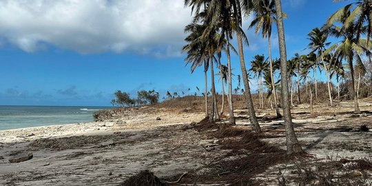 BNPB Perkuat Mitigasi Penyimpanan Minyak Tahan Gempa Antisipasi Tsunami Api Cilacap