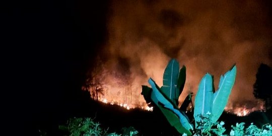 10 Hektare Lebih Kawasan Hutan Lindung di Aceh Tengah Terbakar