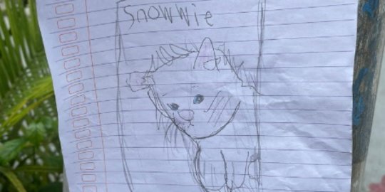 Viral Bocah Cari Kucing Kesayangan yang Hilang, Isi Pamfletnya Bikin Netizen Terharu