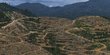 Dampak Deforestasi bagi Lingkungan, Sebabkan Erosi hingga Pemanasan Global