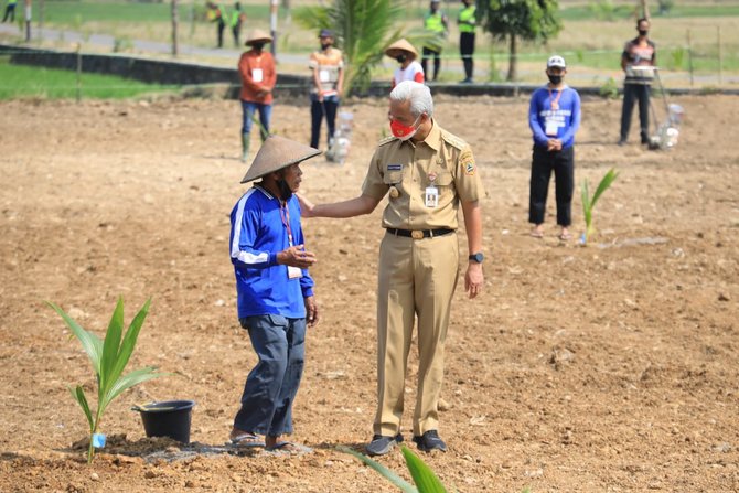 keseruan presiden jokowi tanam kelapa genjah