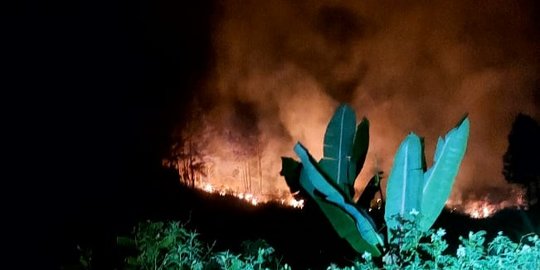 Kebakaran Hutan Lindung di Aceh Tengah Meluas, Api Belum Bisa Dipadamkan