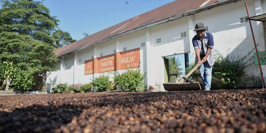 Jejak Kopi Blitar yang Melegenda